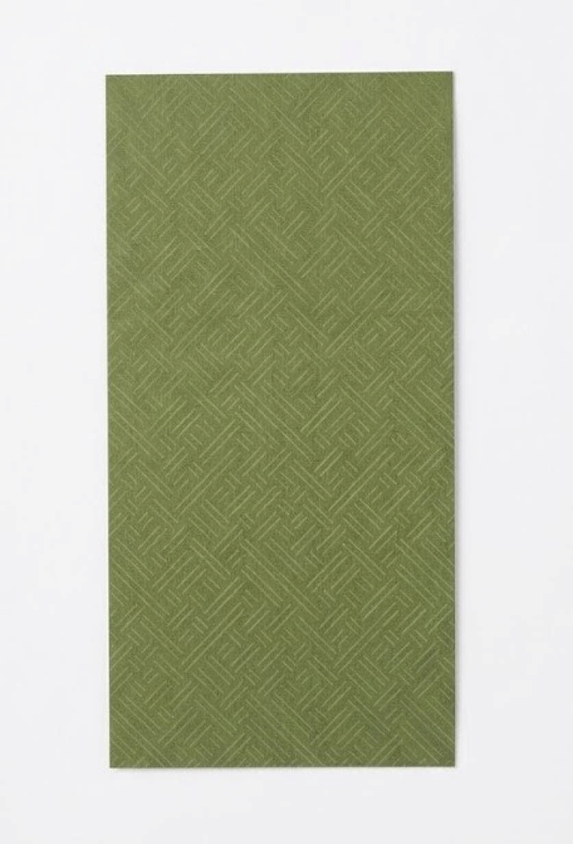  Patch voor EC GO Range 2026 (Pesto Green)